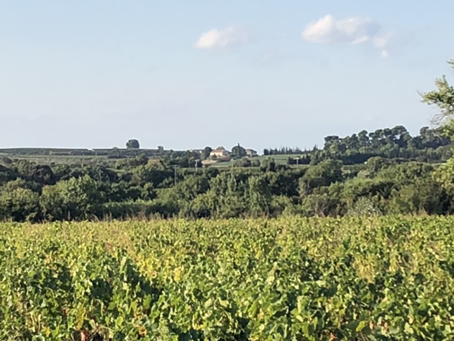 Languedoc countryside view