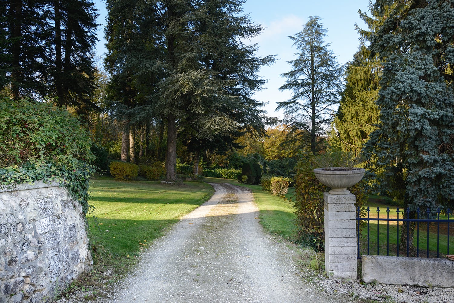 Driveway Driveway