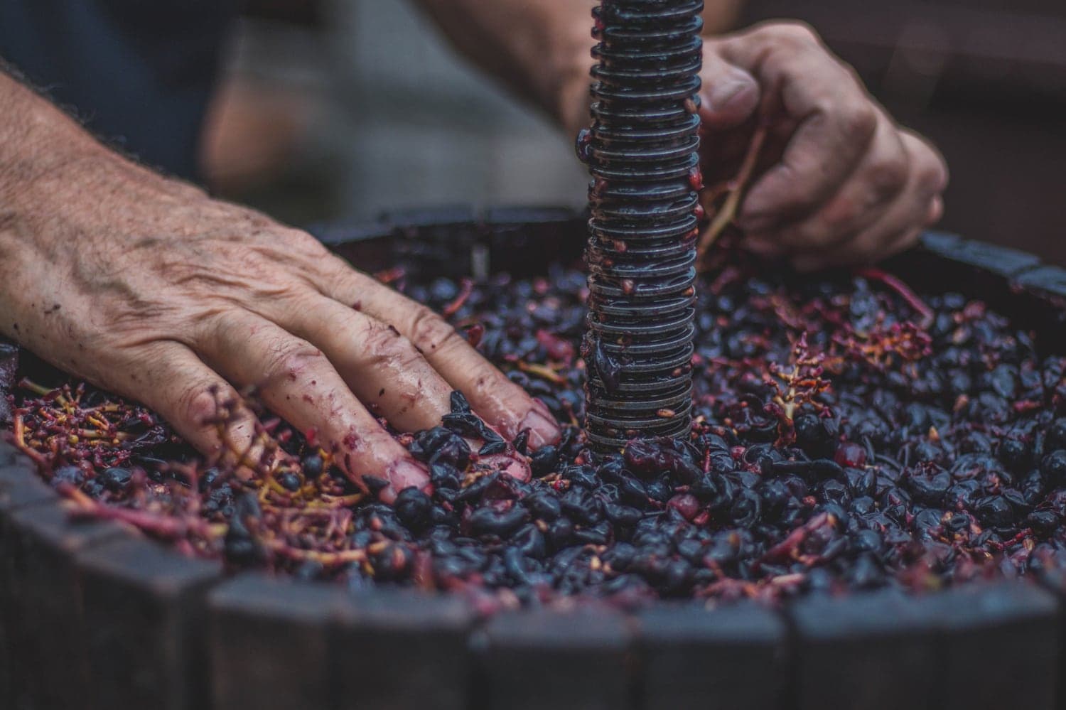 Gastronomie | Pure France
