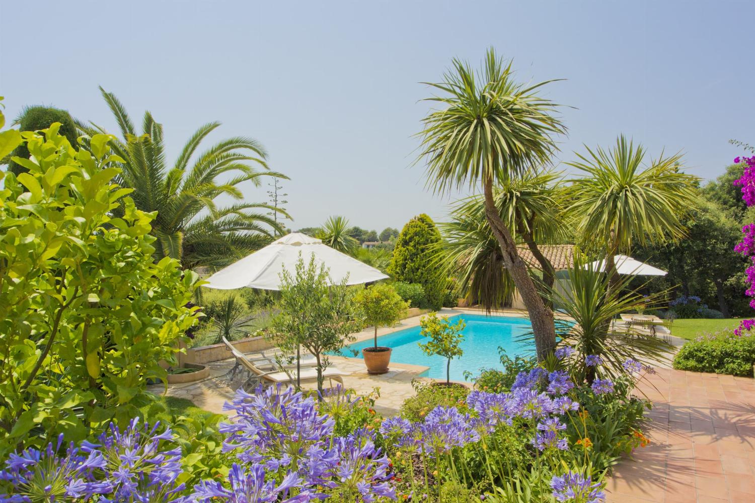 Terrace and private pool