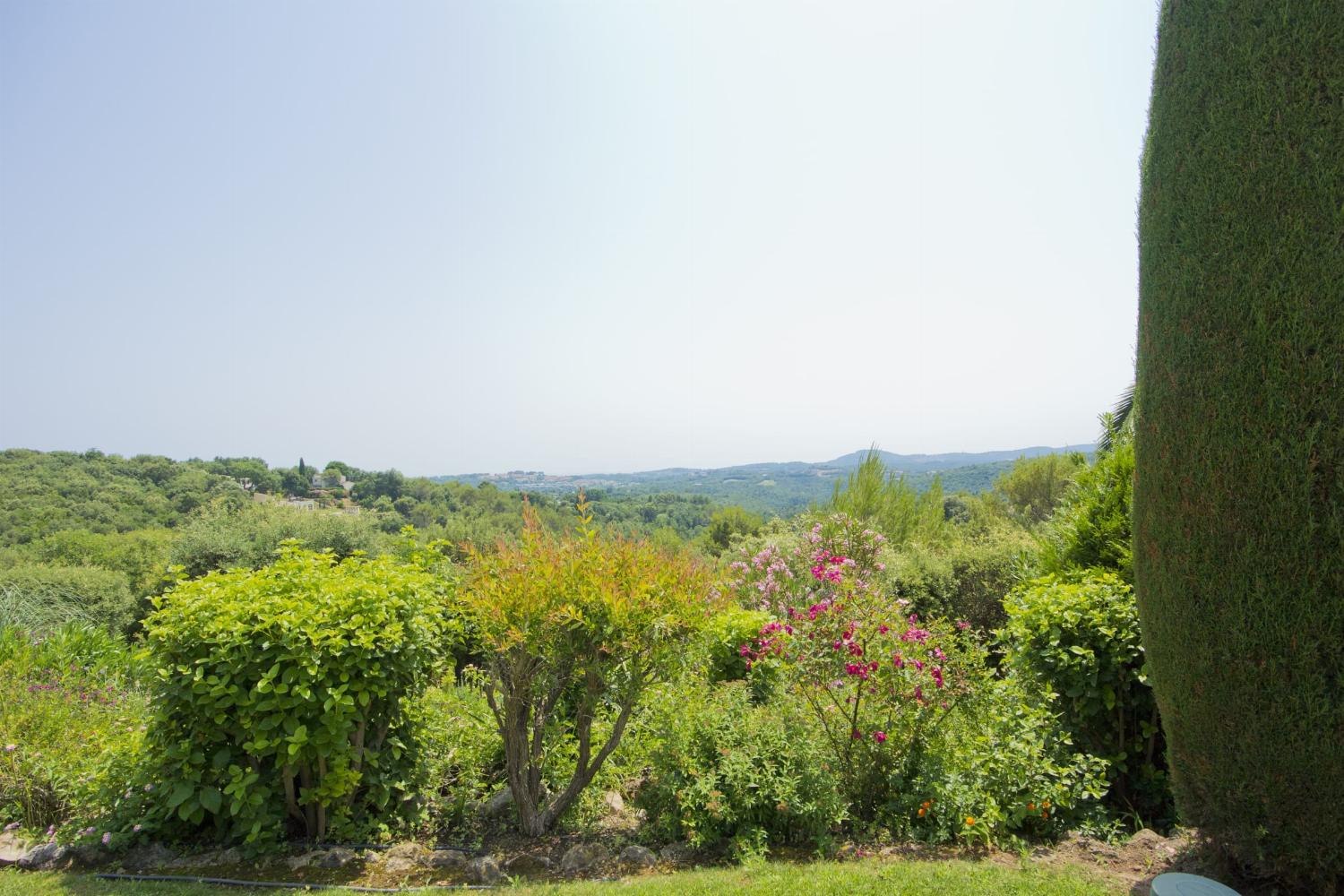 View in Provence