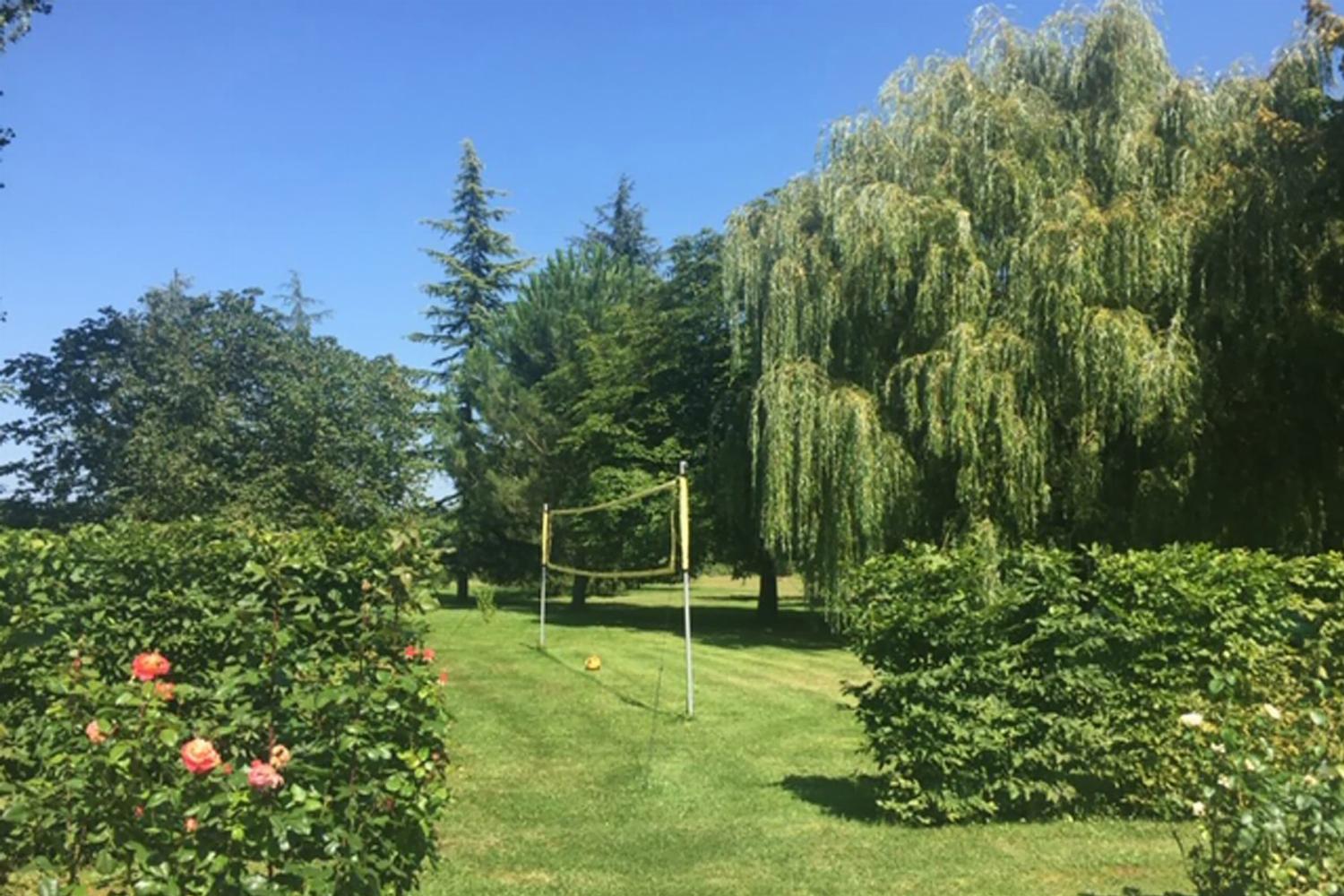 Babminton net in garden