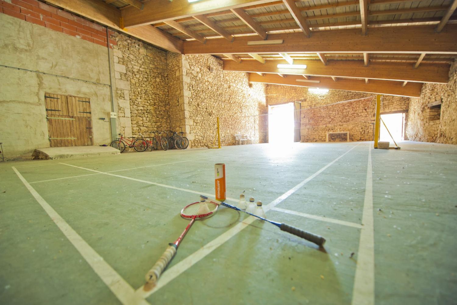 Babminton court