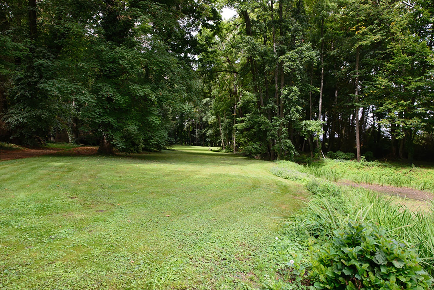Garden Garden