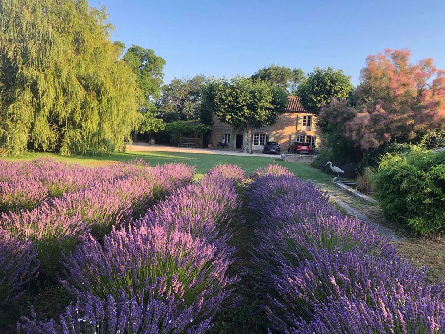 Garden | Rental home in Provence