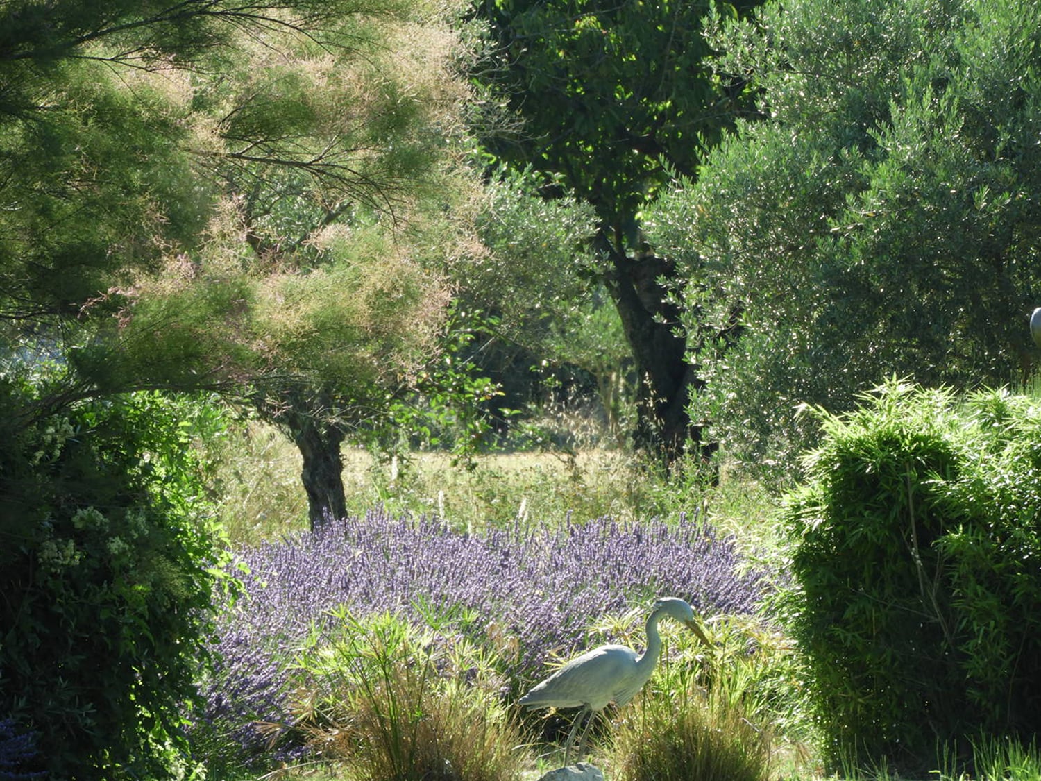 Garden | Rental home in Provence