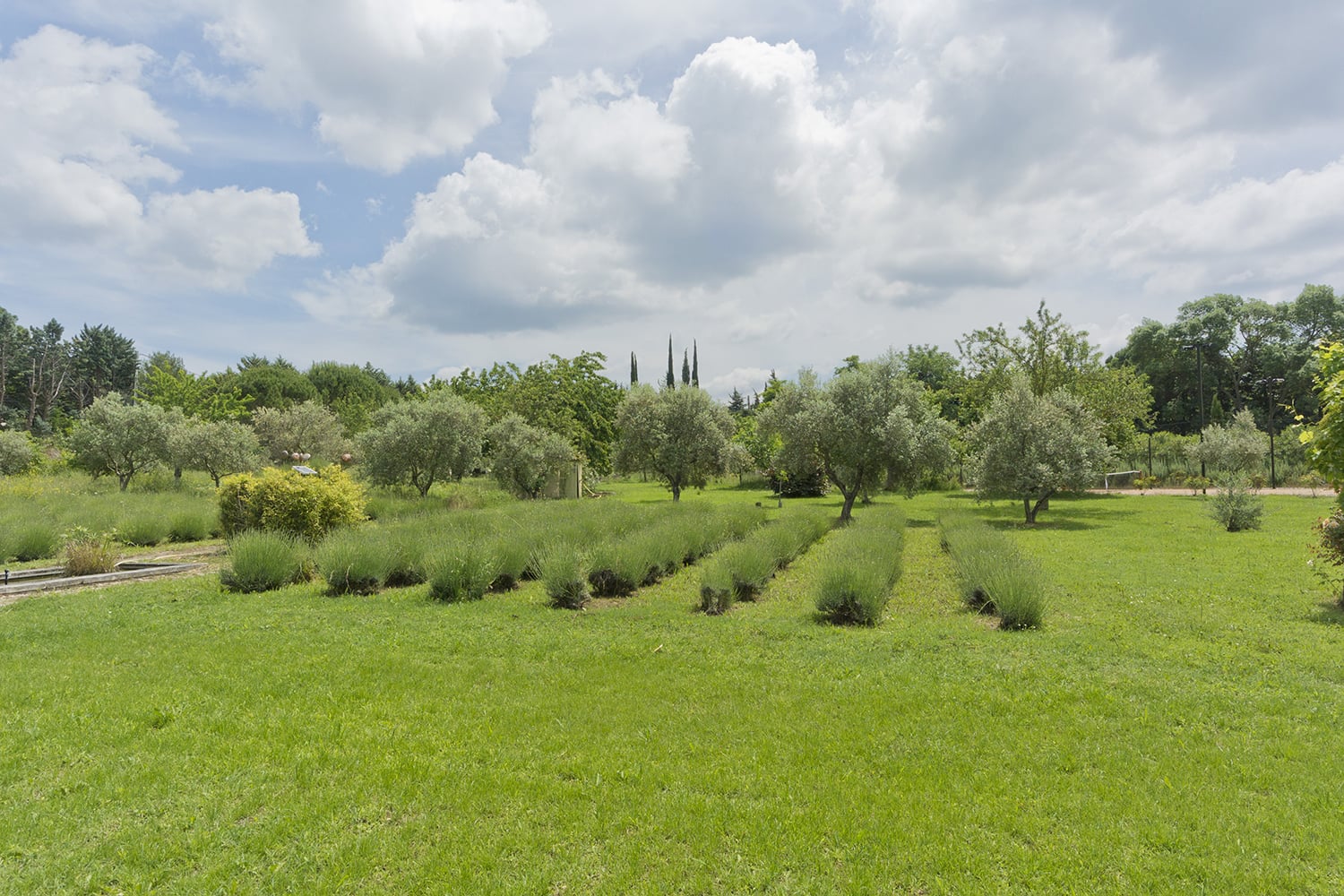 Garden | Rental home in Provence