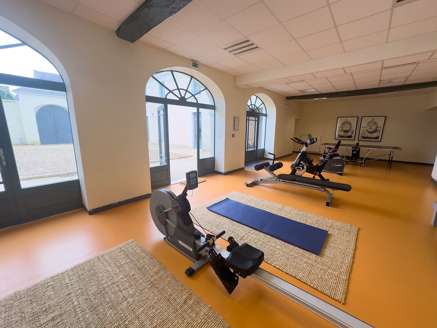 Gym | Holiday home in Loire