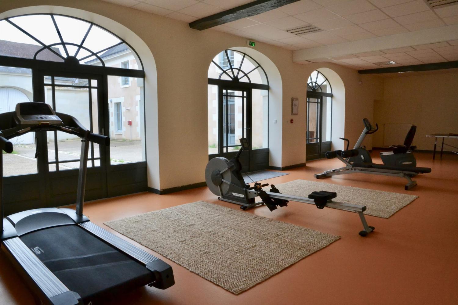 Gym | Holiday home in Loire
