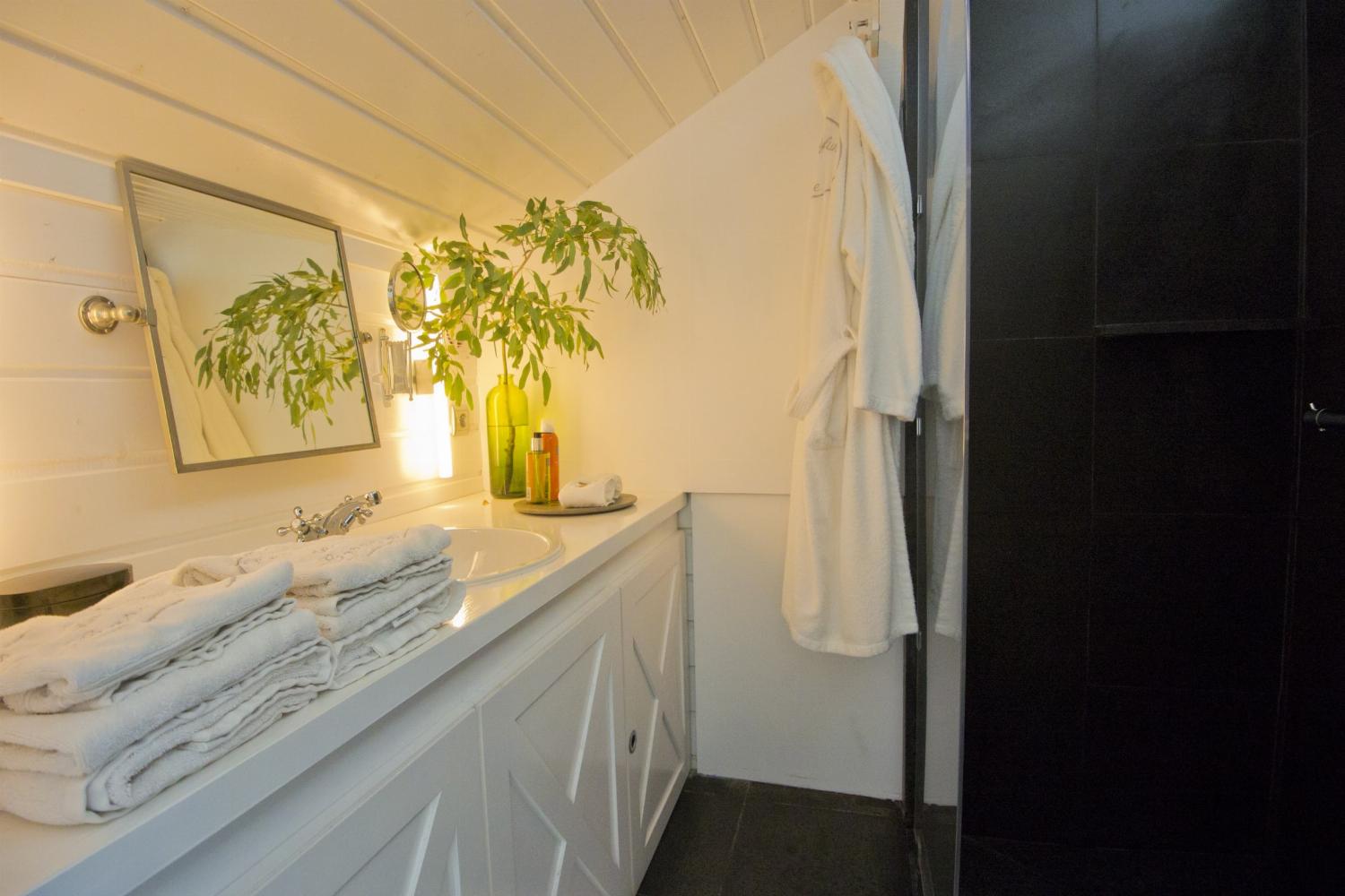 Bathroom | Holiday villa near Pont du Gard