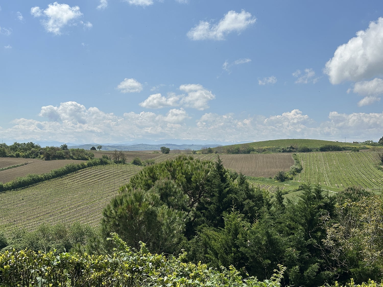Countryside view