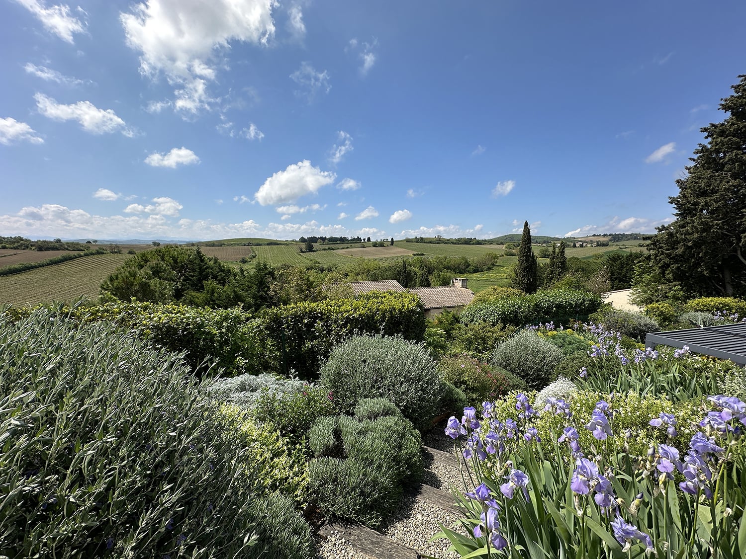 Countryside view
