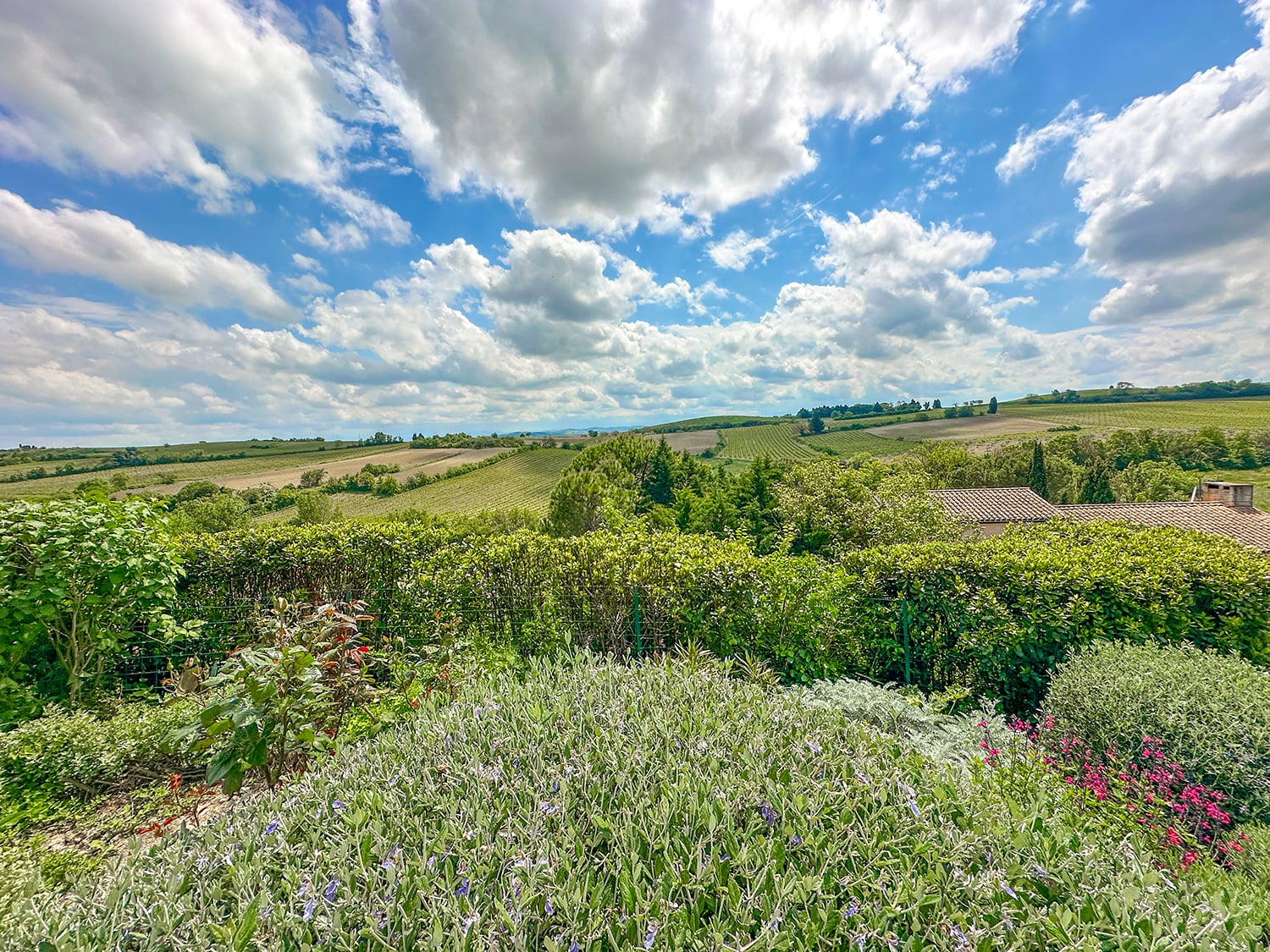 French countryside view
