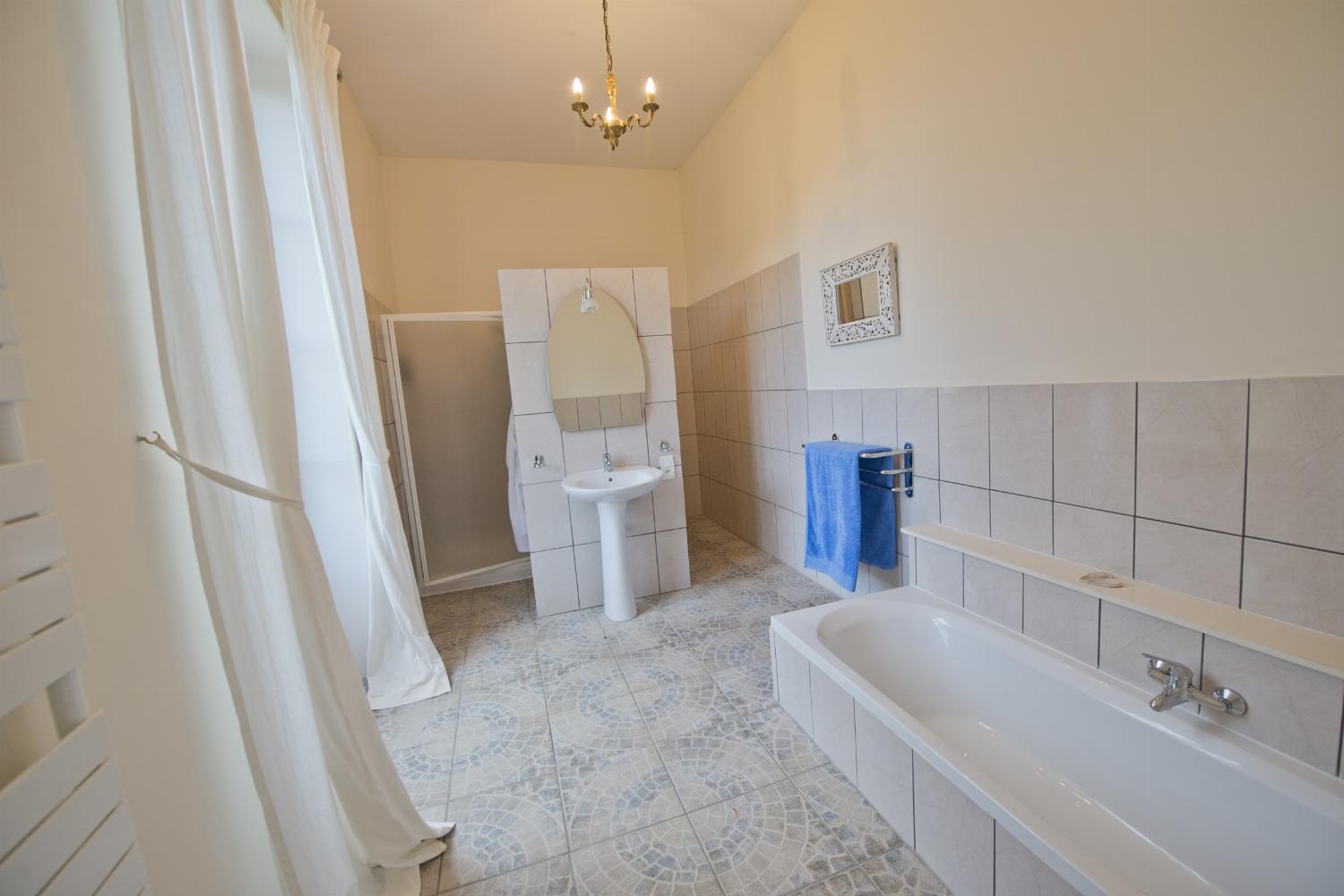 Bathroom | Rental château in Loire