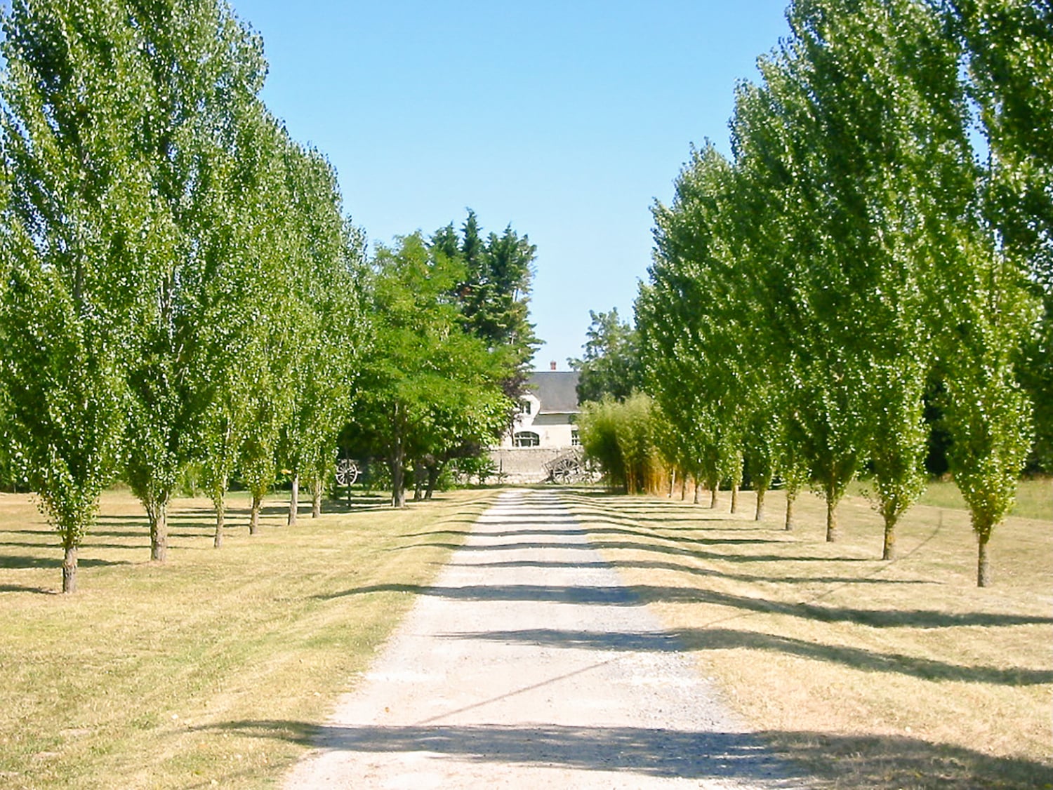 Driveway Driveway
