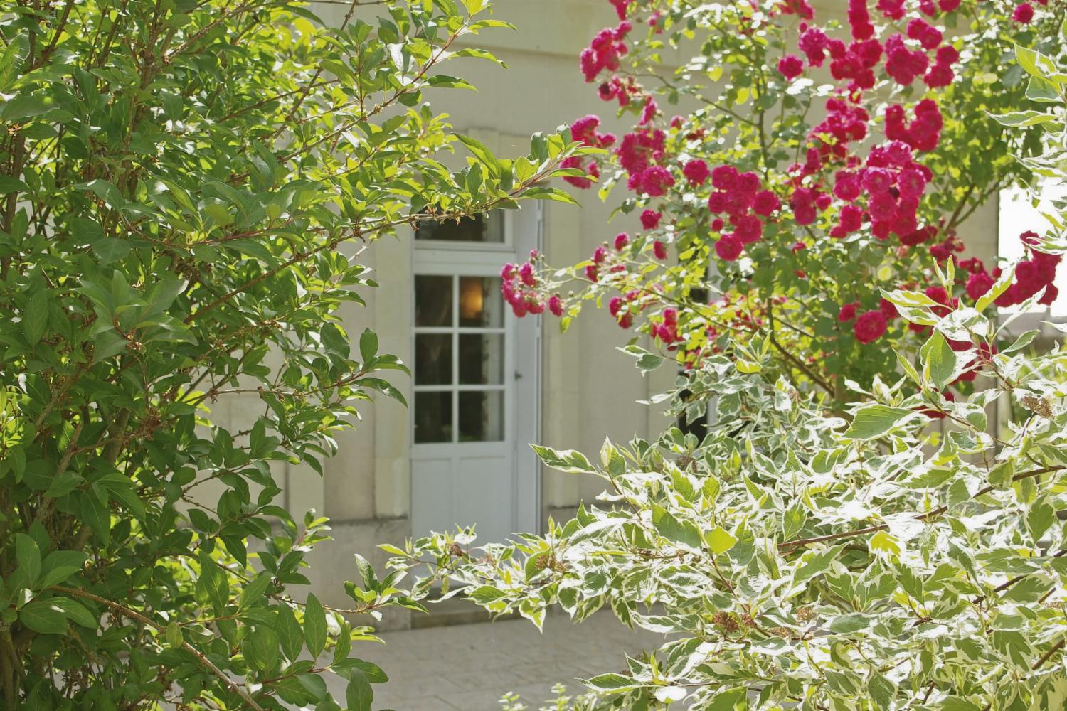 Garden in France