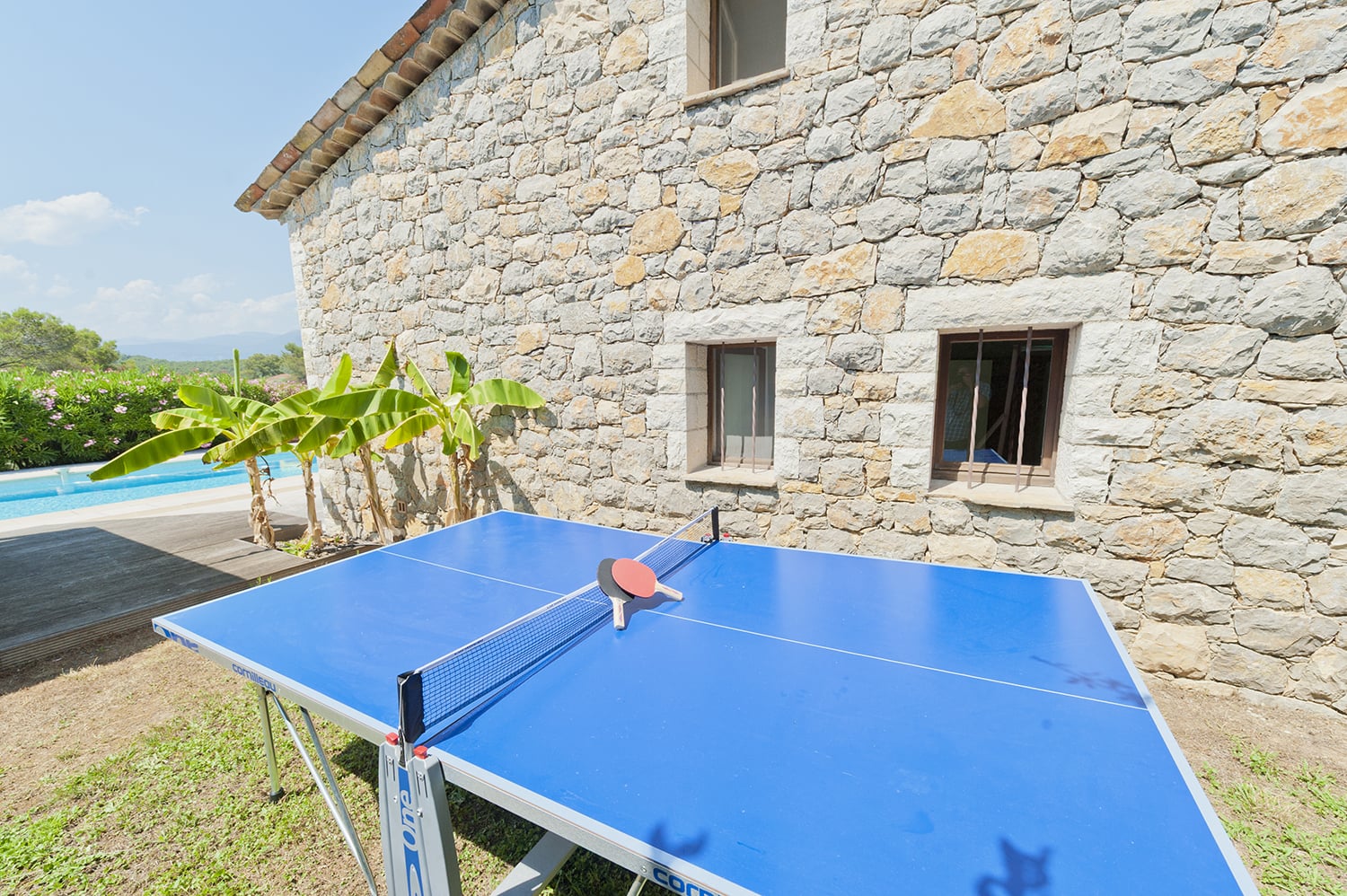 Table tennis