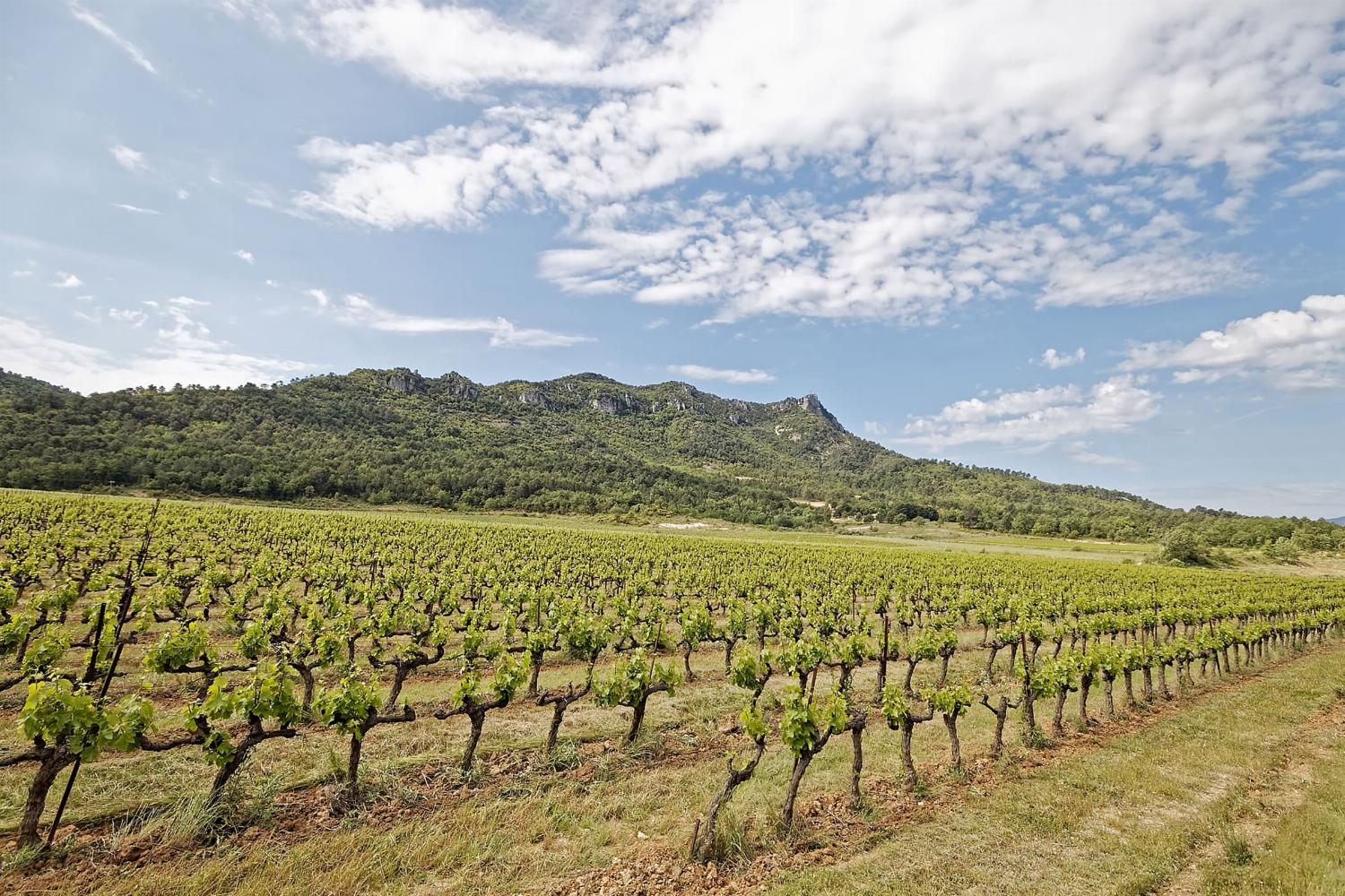 French countryside view