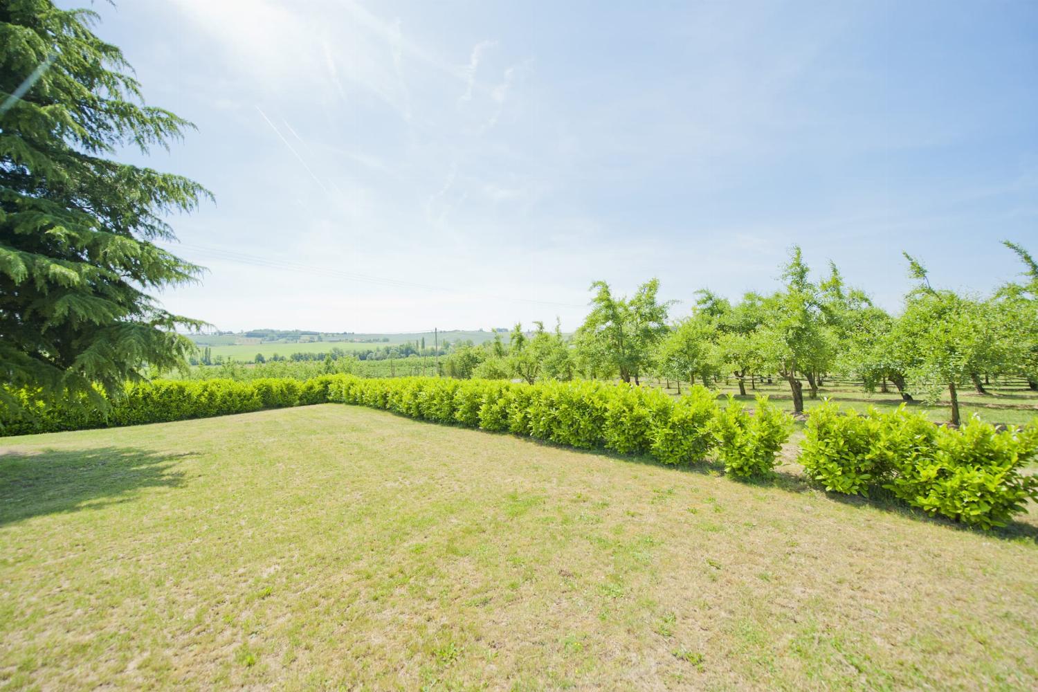 Garden in France