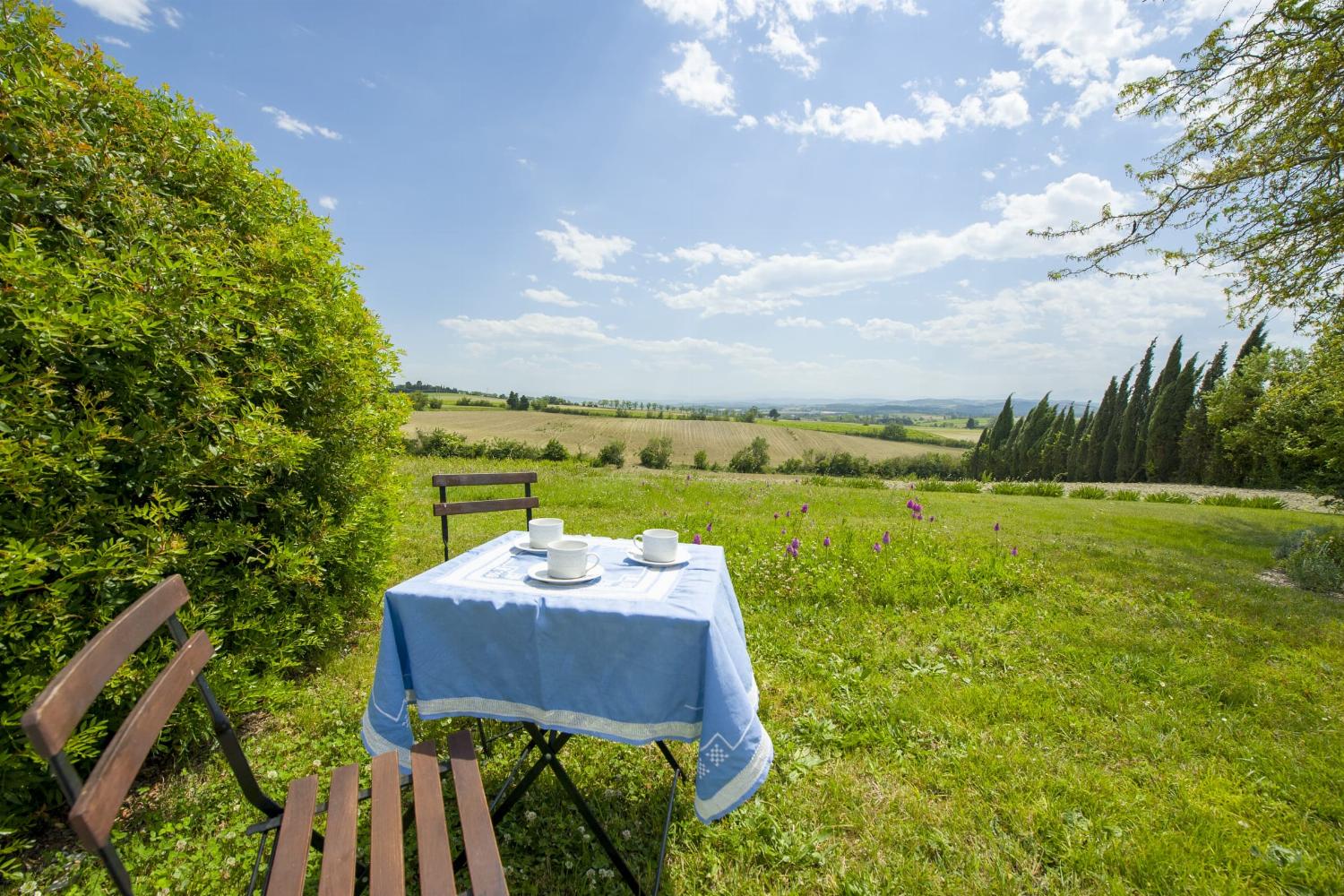 Garden in France