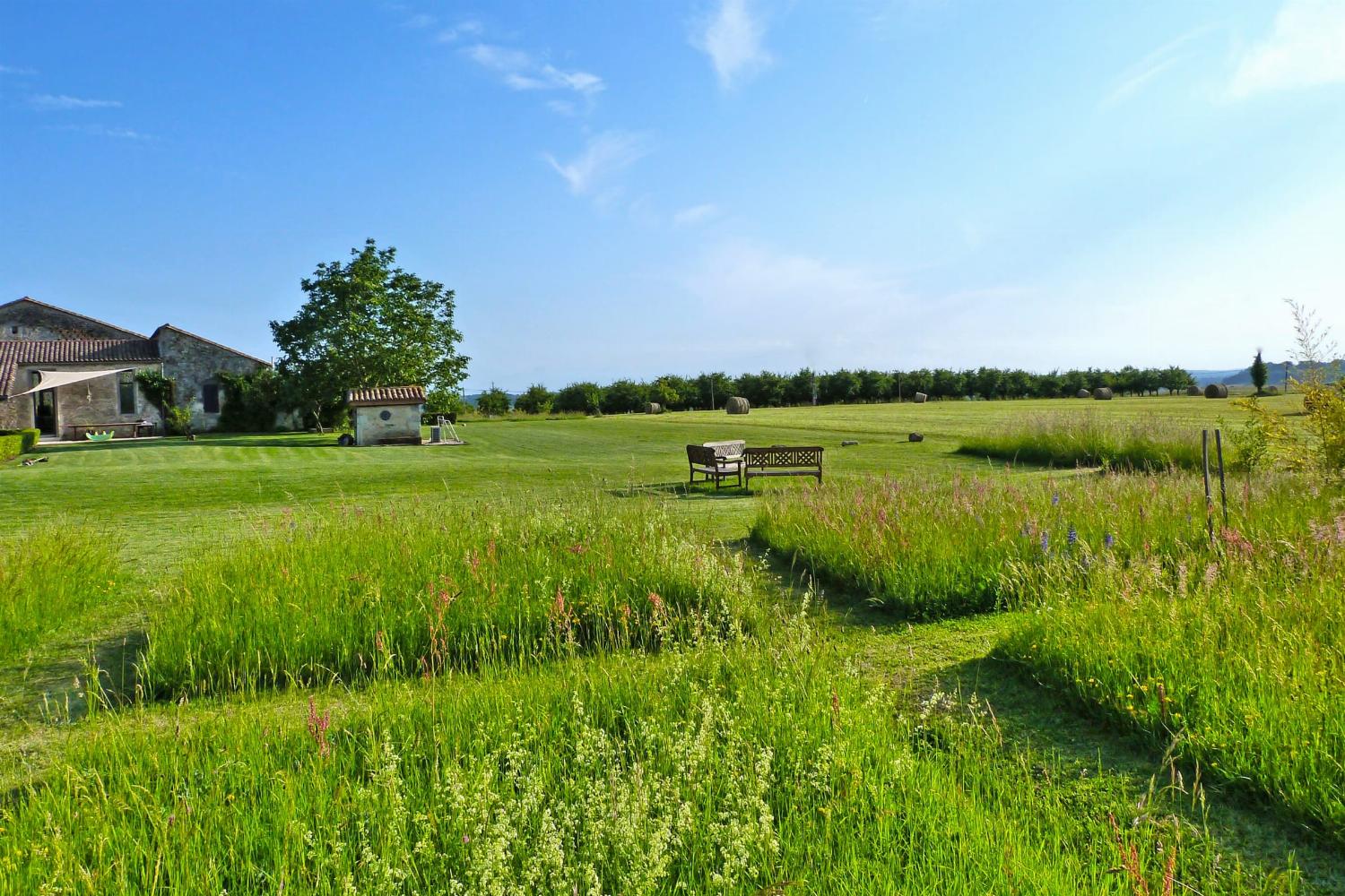 Garden  | Holiday home in South West France