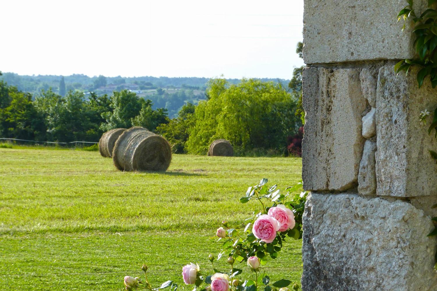 View in South West France