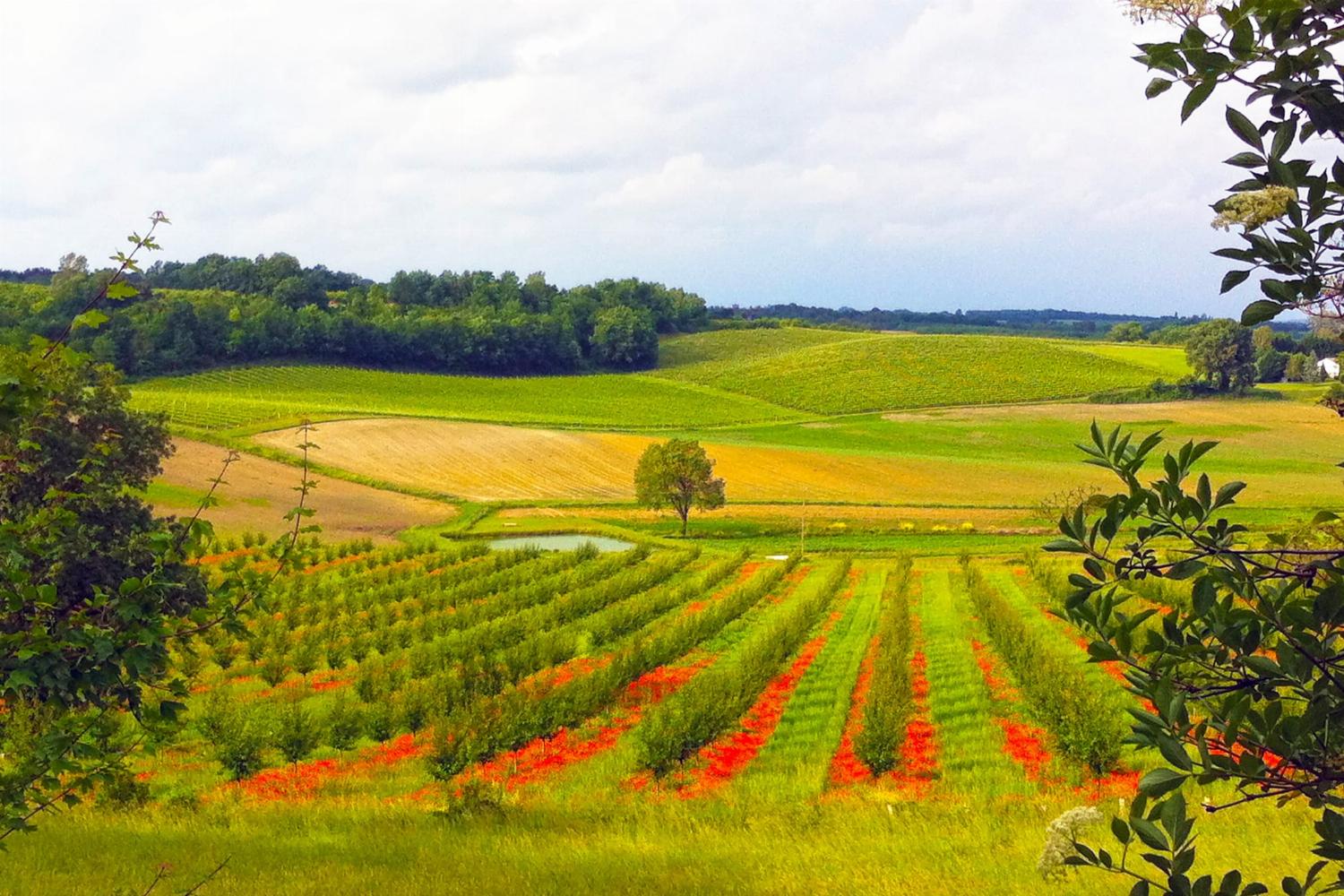 View in South West France