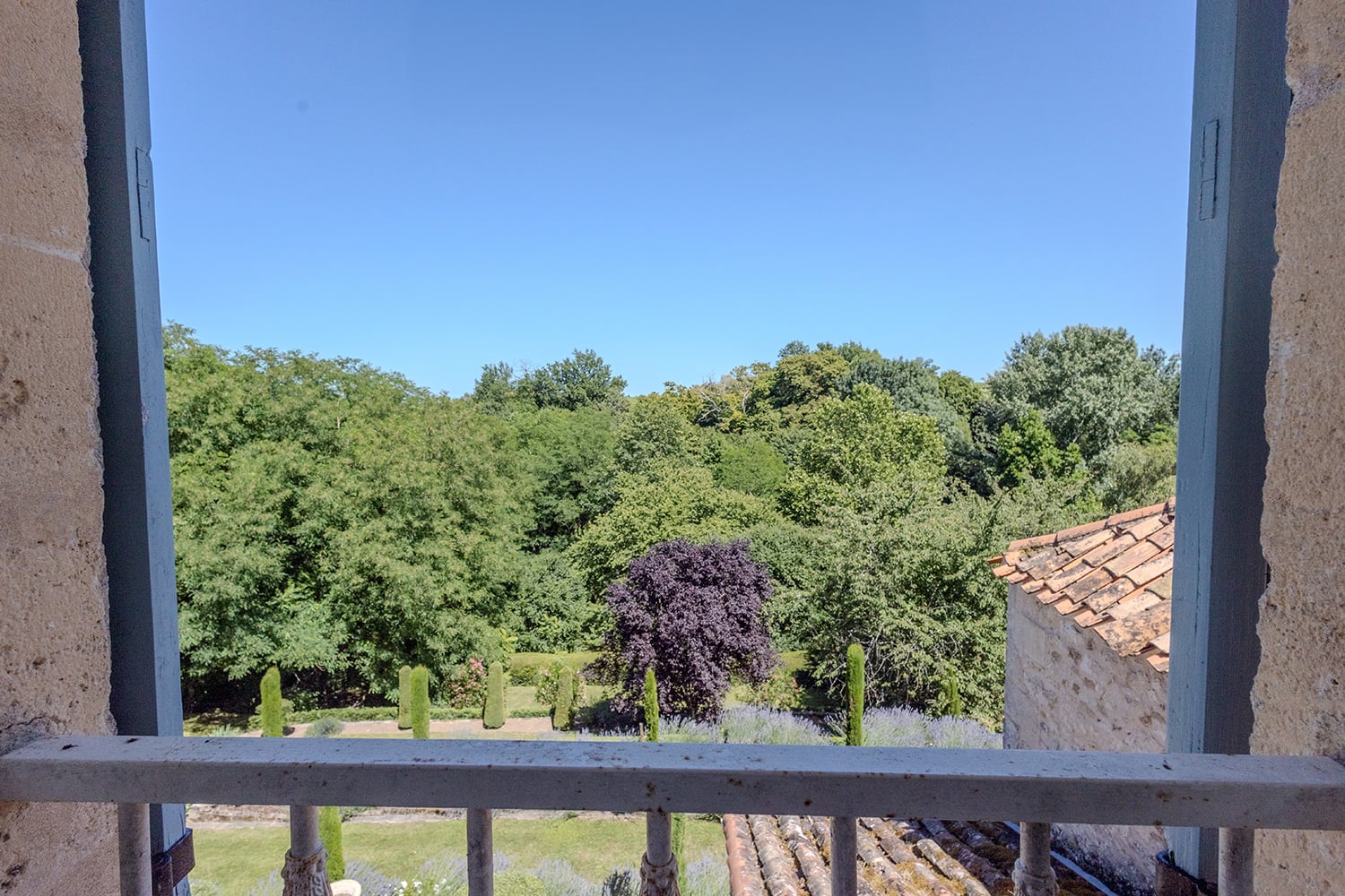 View from window