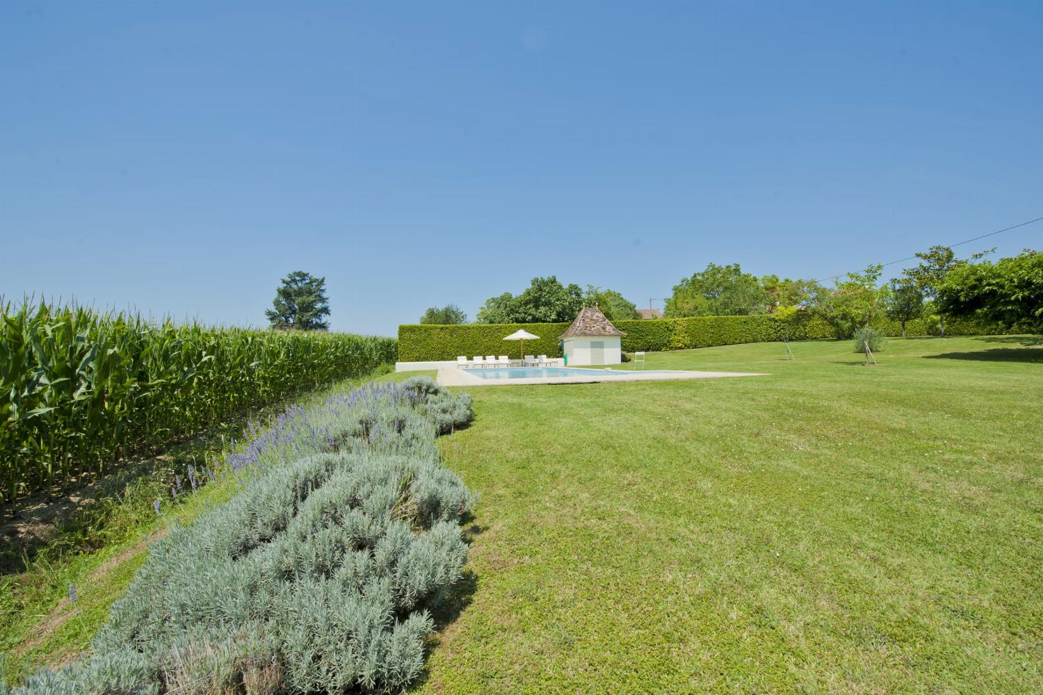 Garden in France