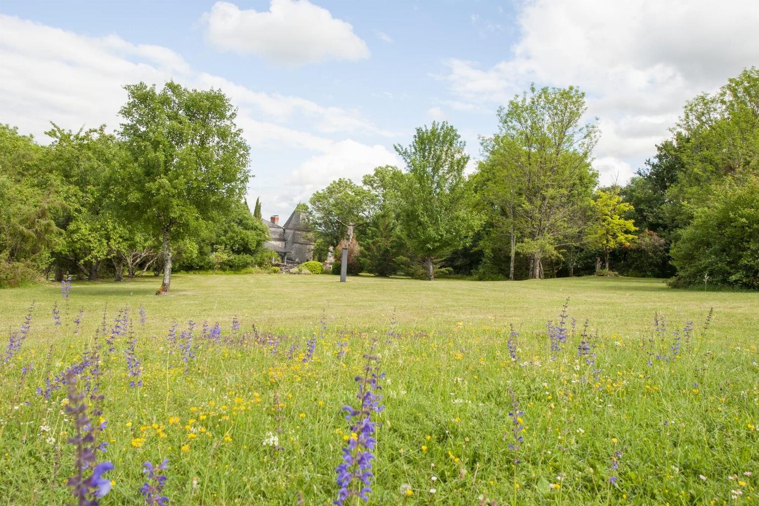 Garden in France