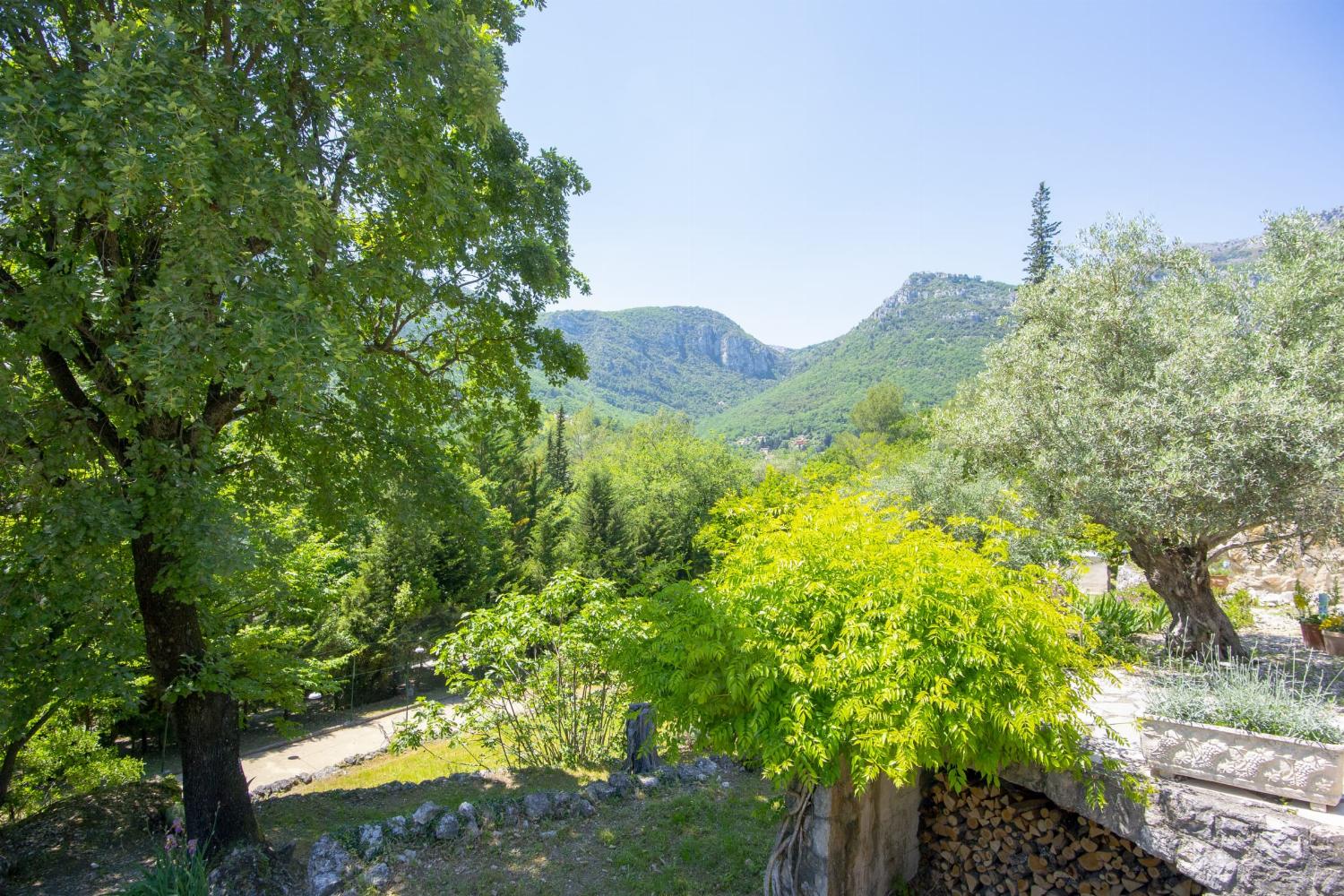 View in Provence