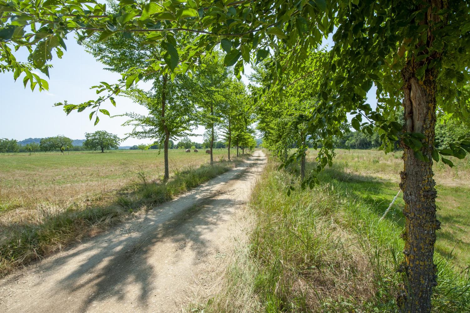 Driveway