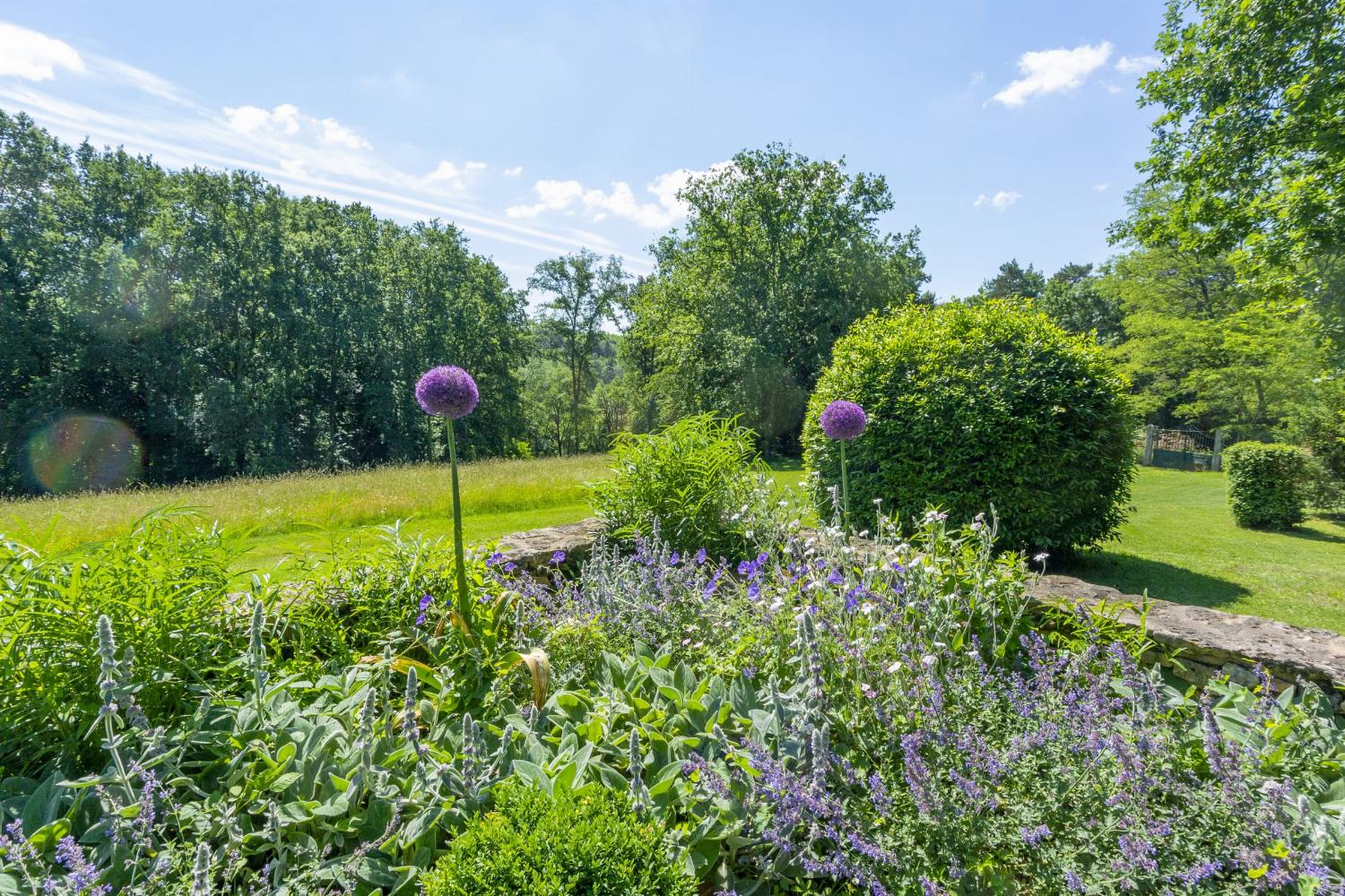 Garden in France