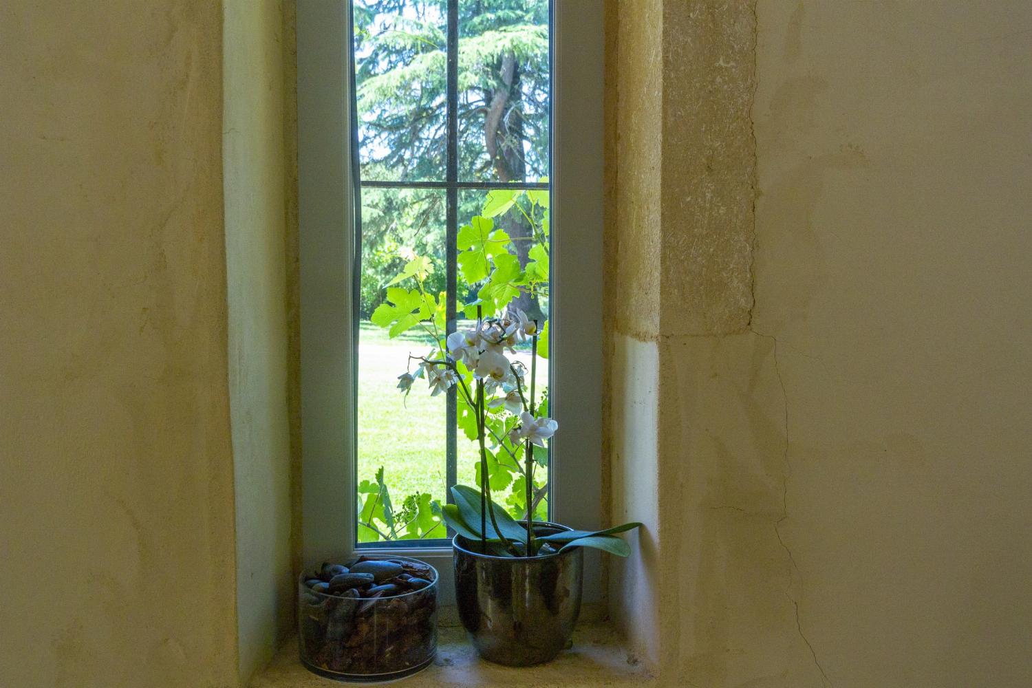 View from window