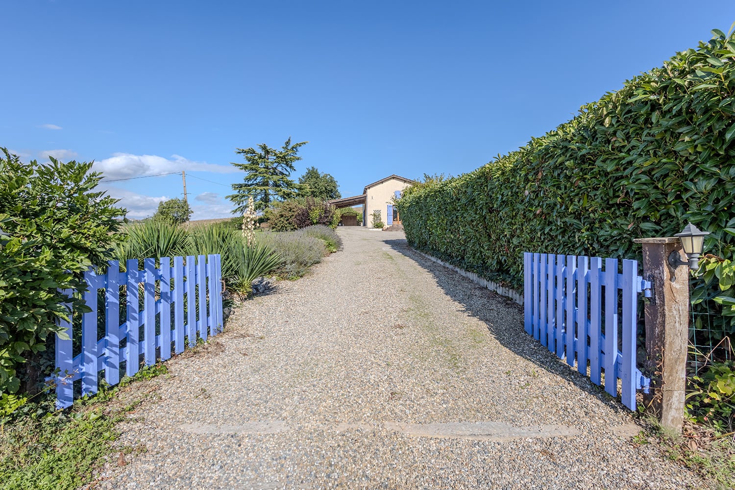 Driveway