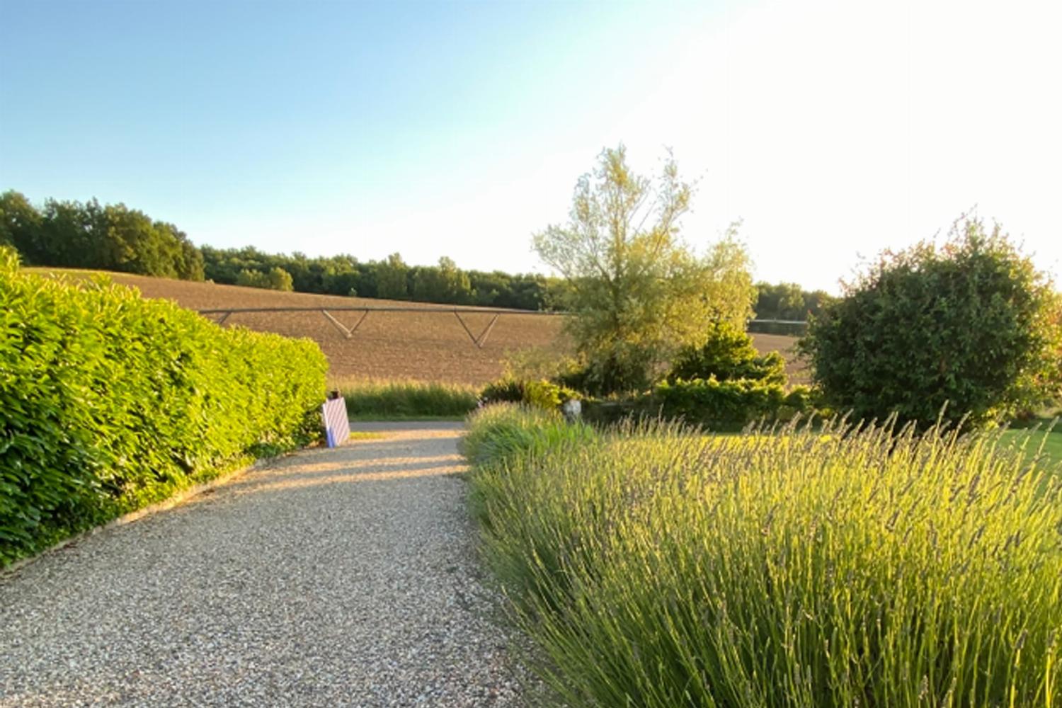 Driveway