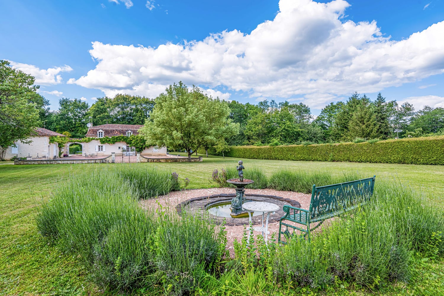 Garden