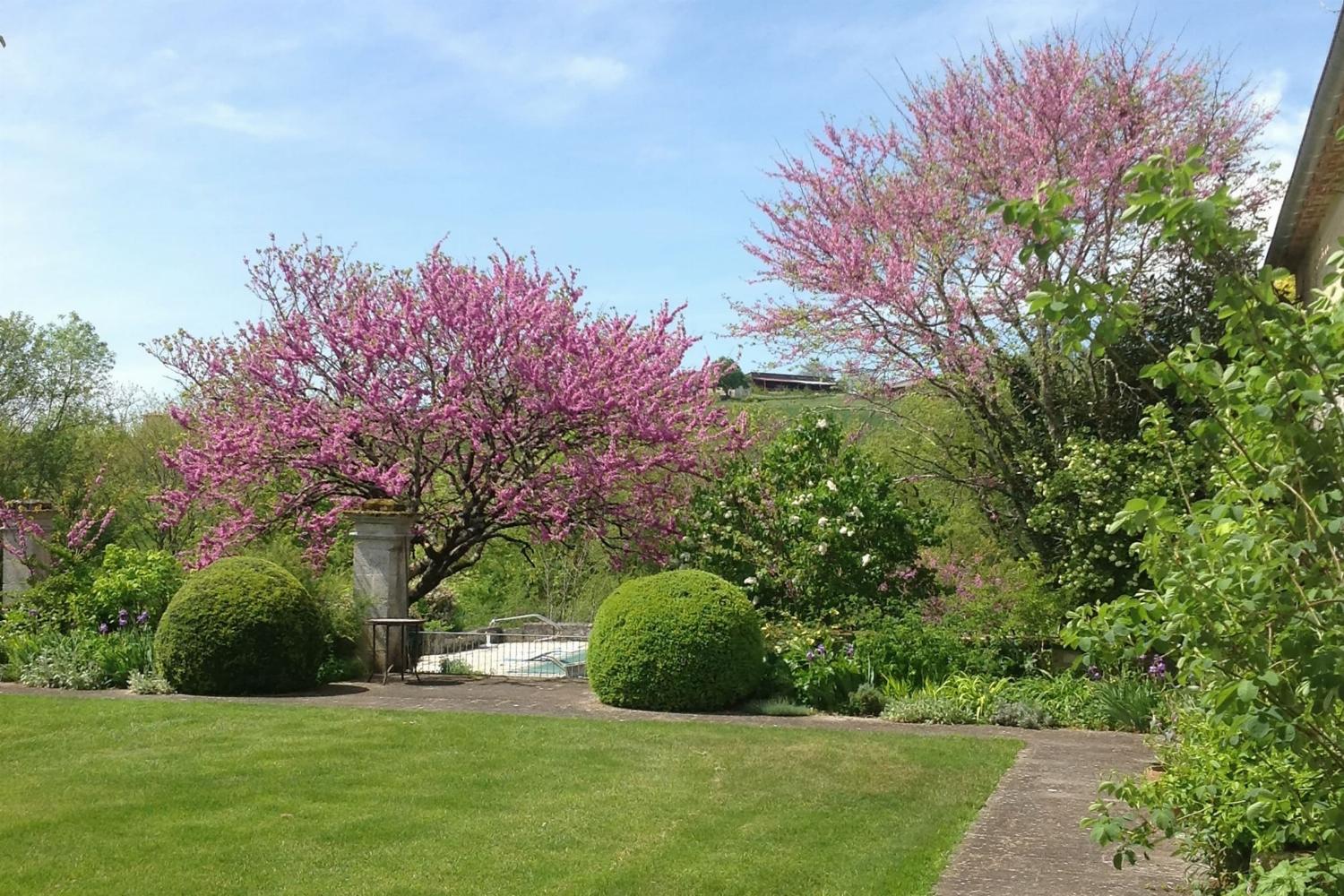 Garden in France