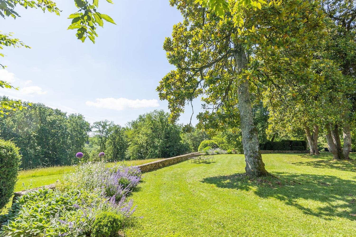 Garden in France
