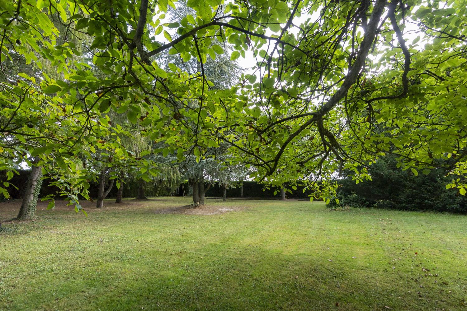 Garden in France
