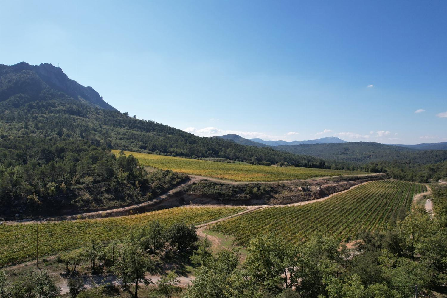 French countryside view