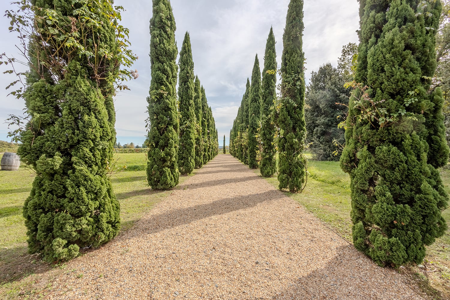 Garden | Holiday chateau in Centre-Val de Loire