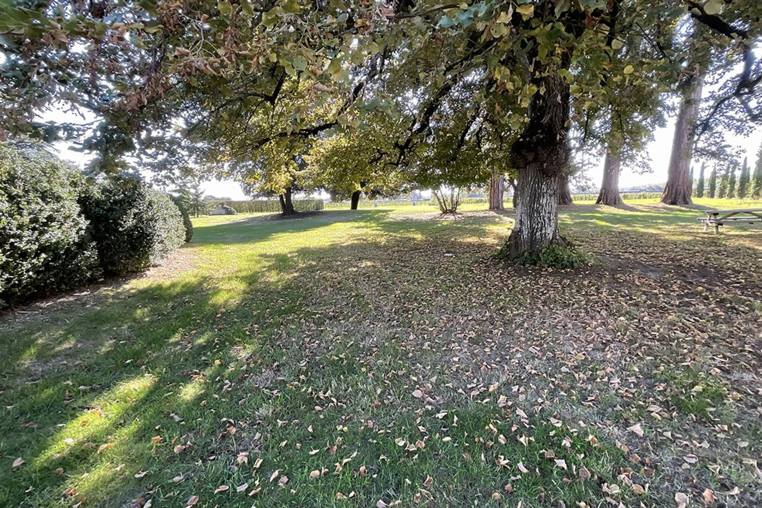 Garden in France