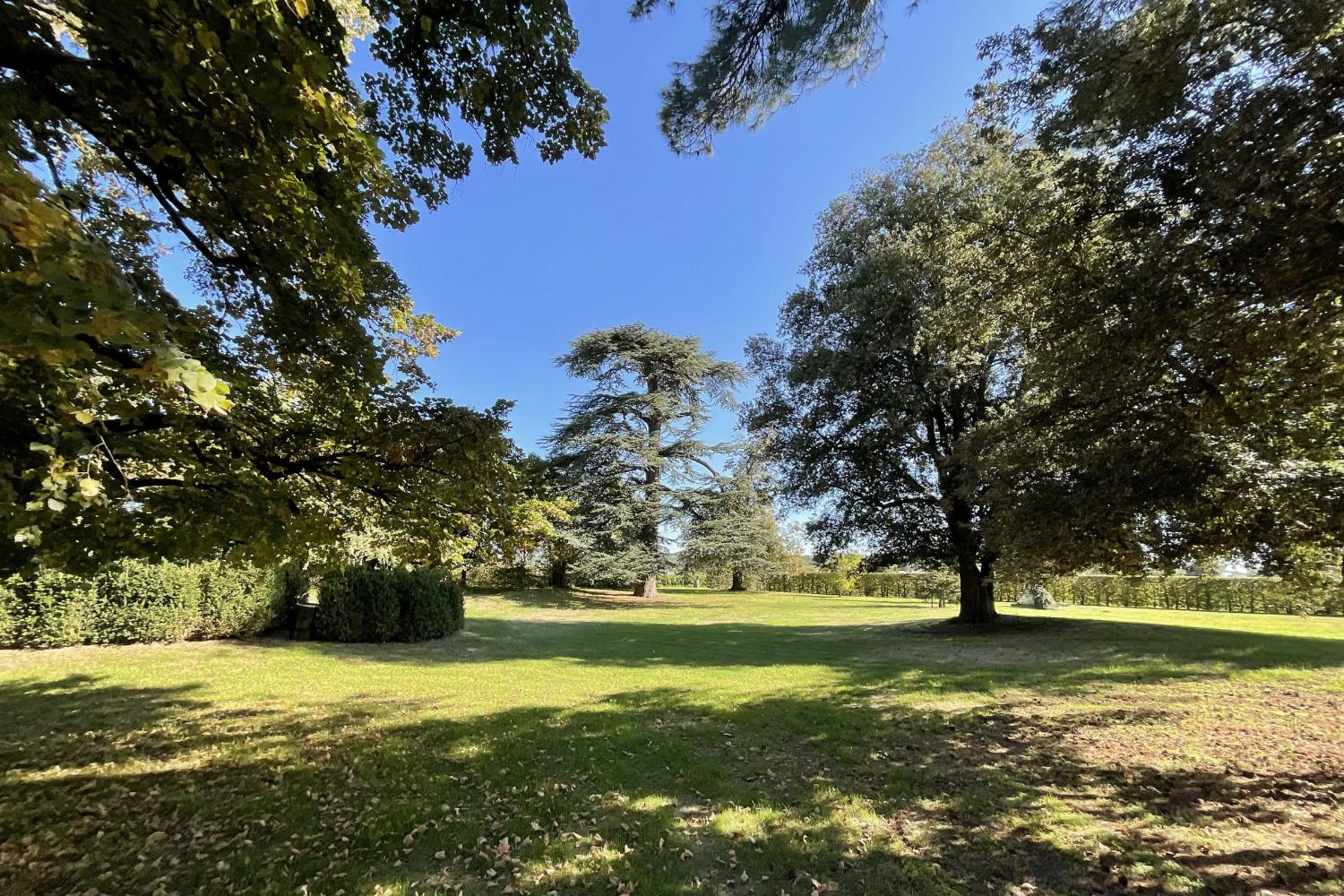 Garden in France