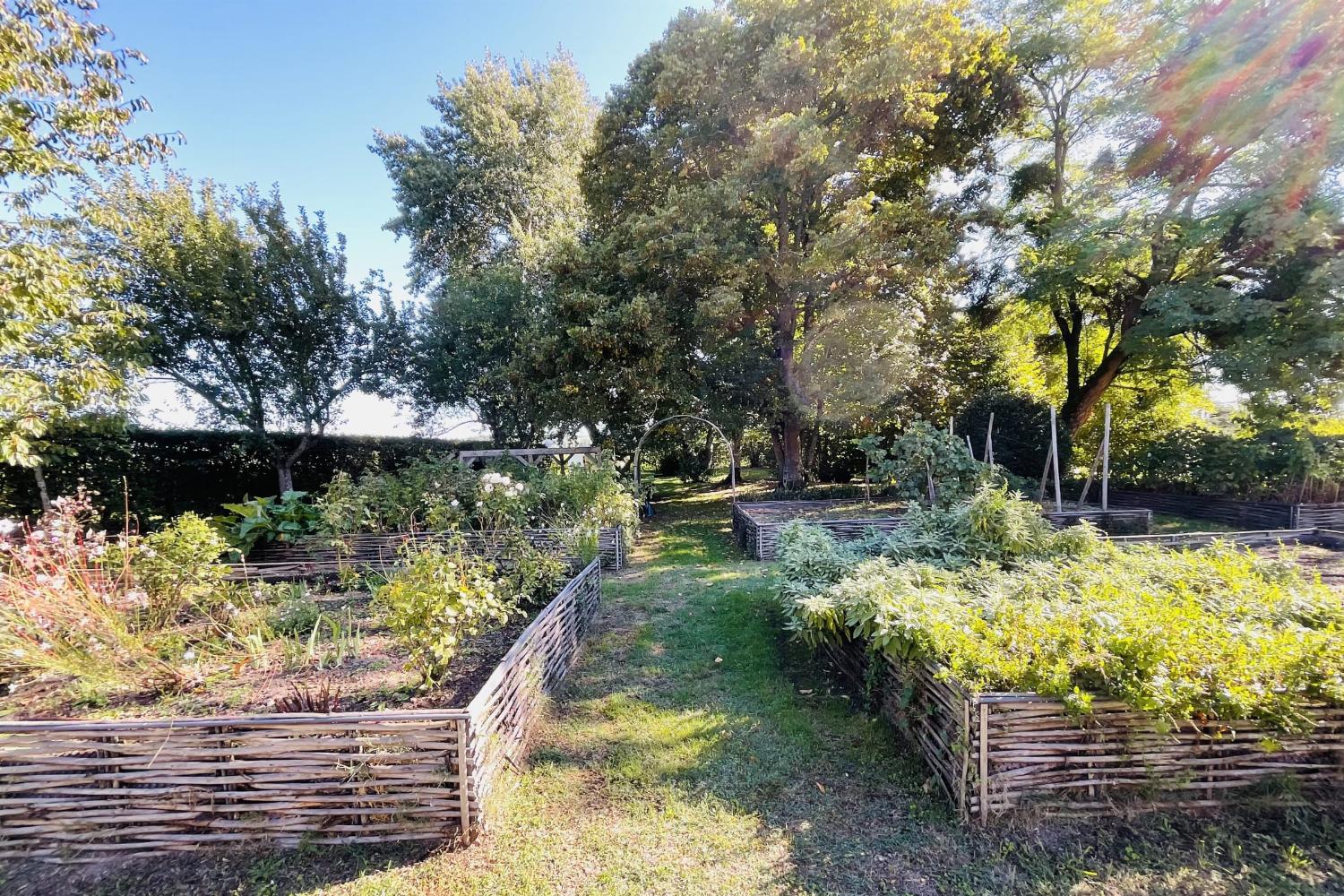 Garden in France