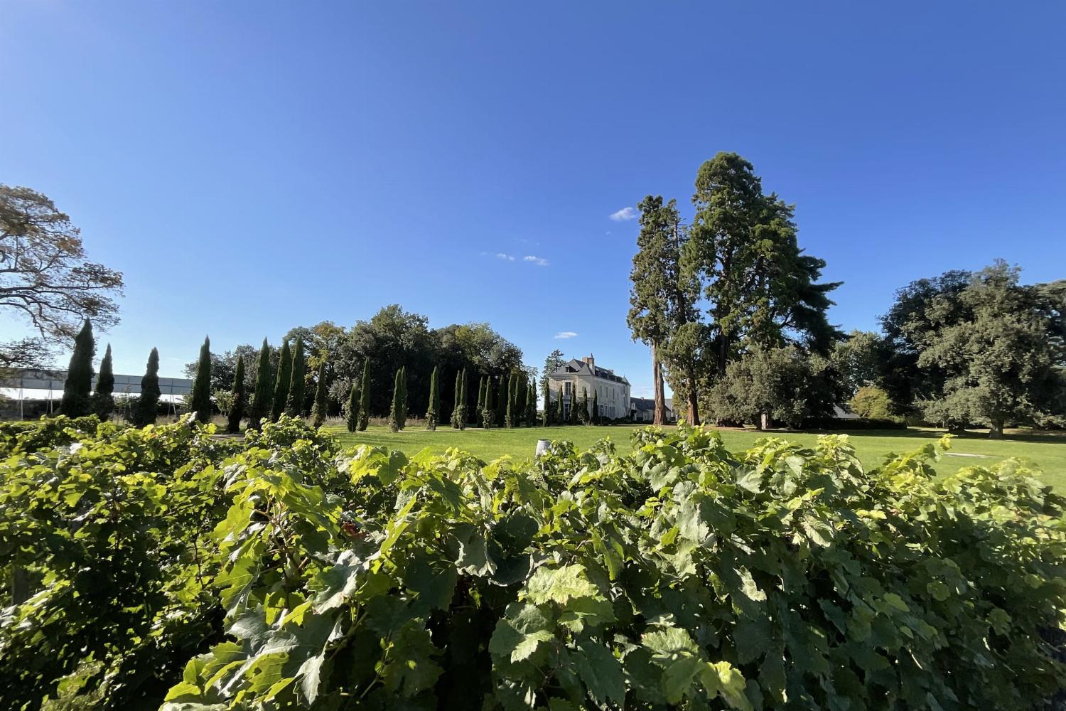 Garden in France