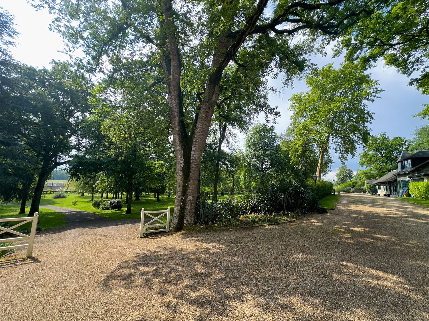 Château driveway