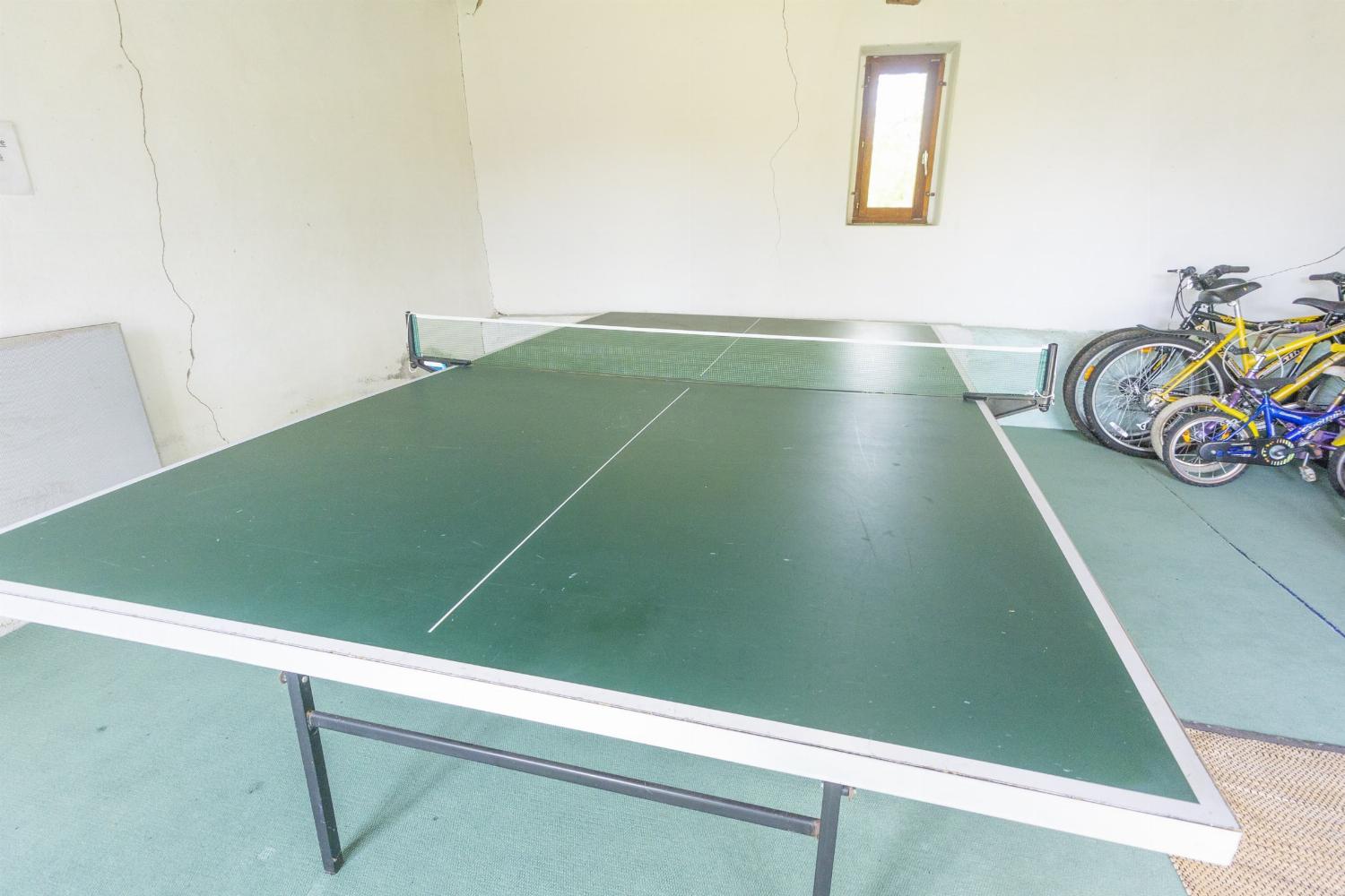 Table tennis