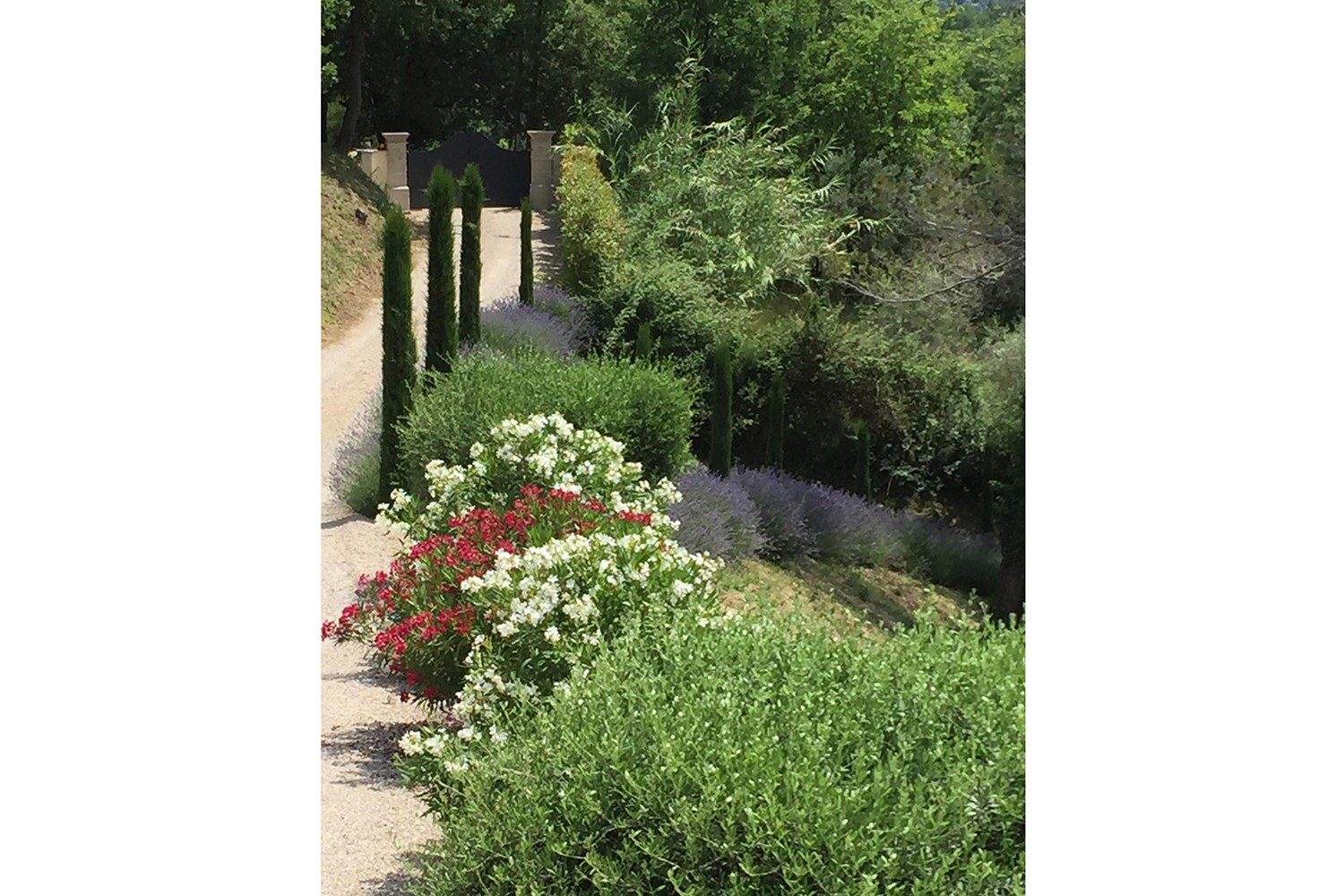 Garden | Holiday villa in Provence-Alpes-Côte d'Azur Garden | Holiday villa in Provence-Alpes-Côte d'Azur