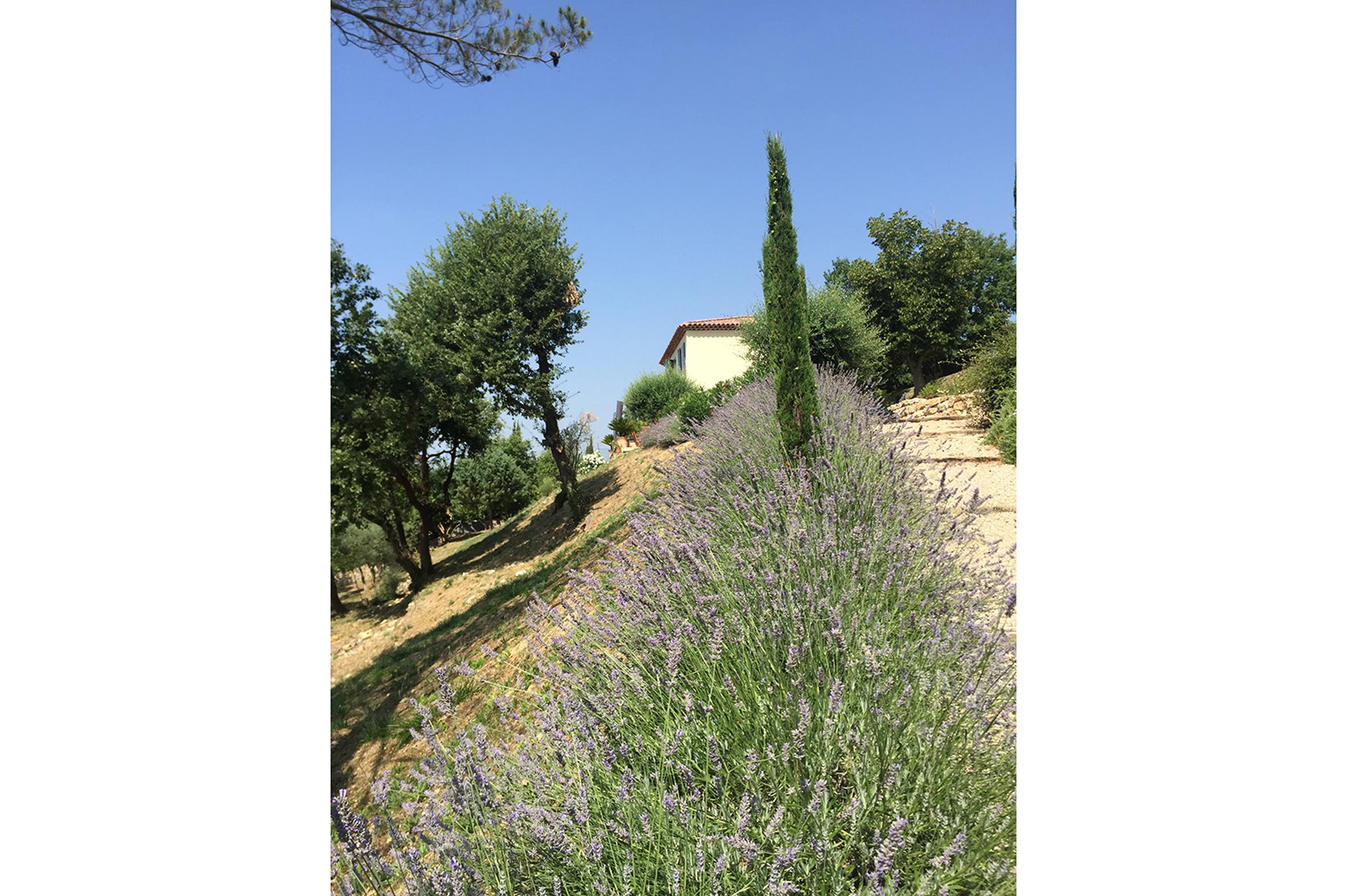 Garden | Holiday villa in Provence-Alpes-Côte d'Azur Garden | Holiday villa in Provence-Alpes-Côte d'Azur